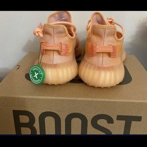 Yeezy boost 350 v2 mono clay color brand new never worn